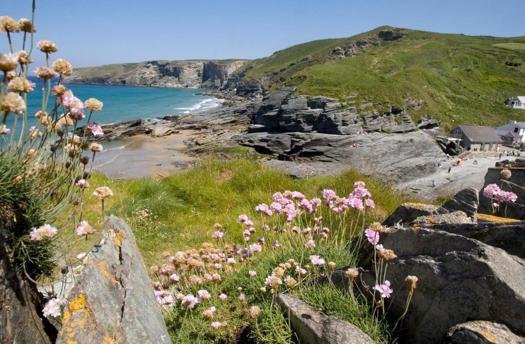 Port William Inn Tintagel Εξωτερικό φωτογραφία